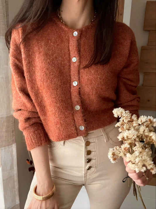 Cardigan Ruggine